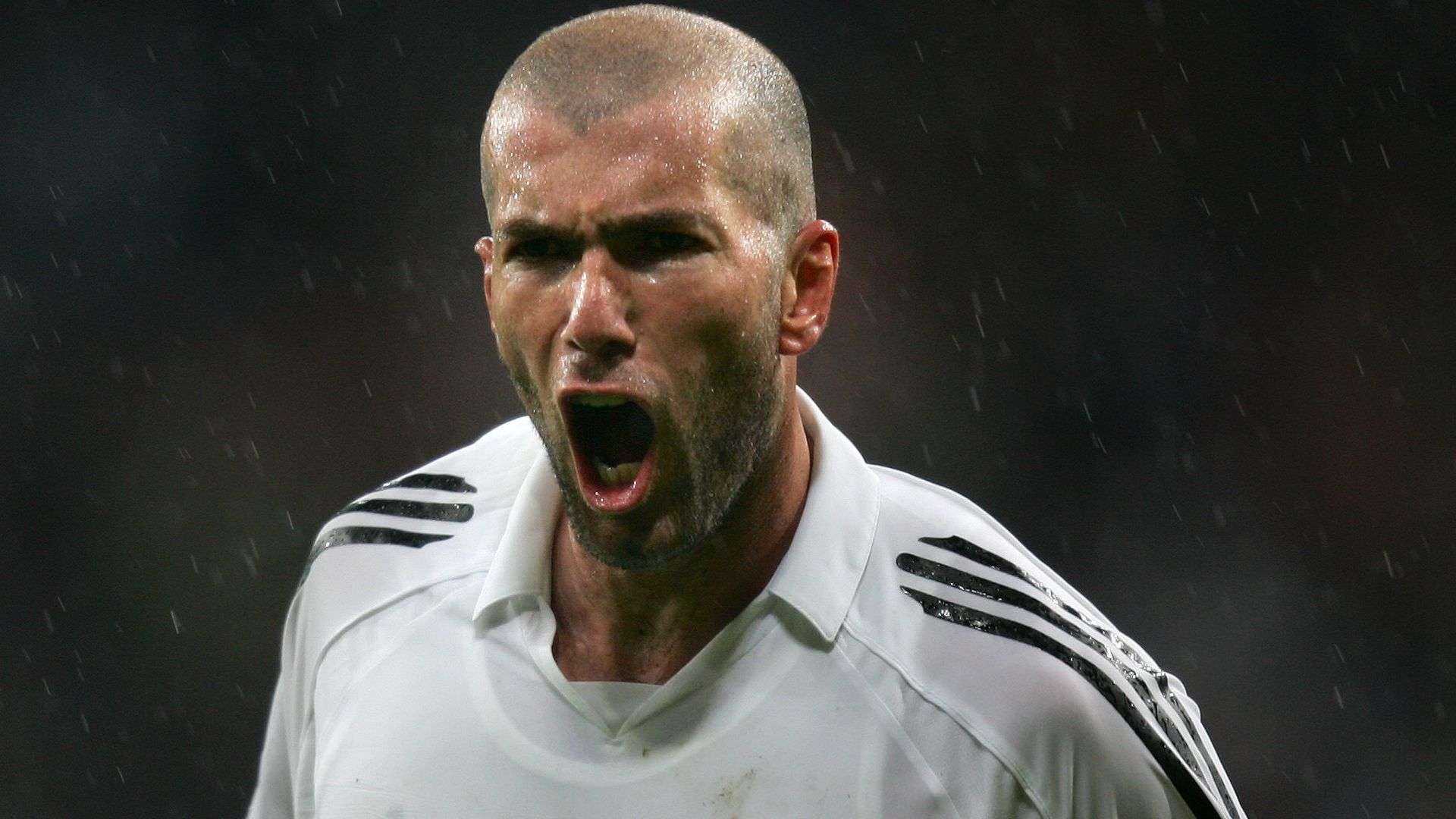 以其独特的 以其独特的